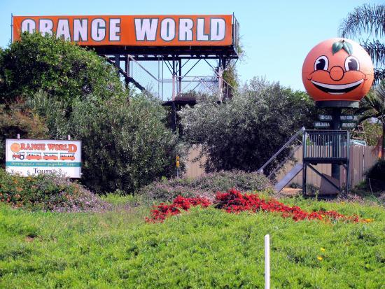 Orange World